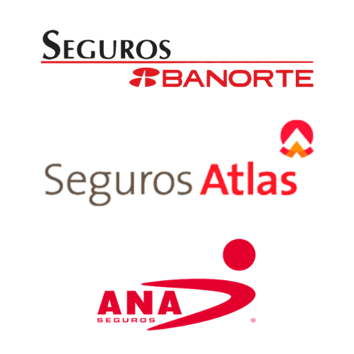 Seguros Toluca