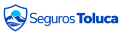 Seguros Toluca